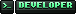 Developer